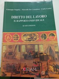 Diritto del lavoro il rapporto individuale
