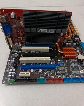 scheda madre Asus 