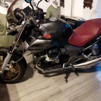 moto guzzi breva 750