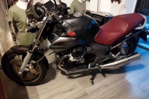 moto guzzi breva 750