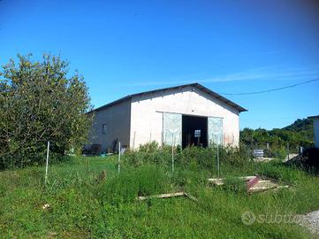 MULTILOCALE A ALBETTONE