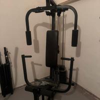 Palestra