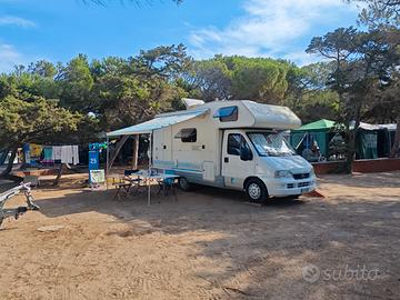 Camper Fiat Ducato Elnagh Marlin 1.9TD Sassari