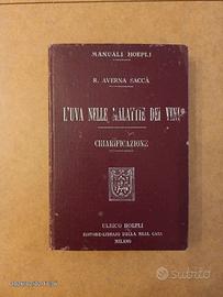 Manuale Hoepli L'UVA NELLE MALATTIE DEI VINI 