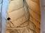 Immagine 6