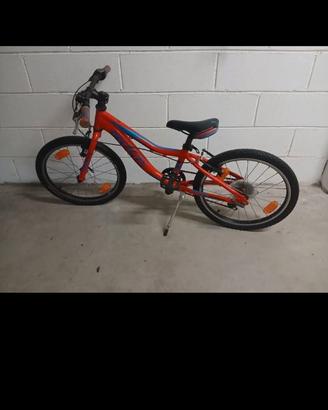 Bicicletta