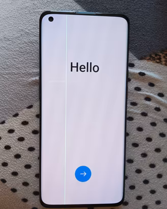 One Plus 9 Pro