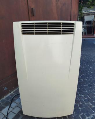 condizionatore pinguino 