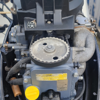 Motore fuoribordo 9.9 4 tempi