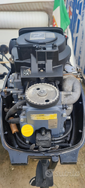 Motore fuoribordo 9.9 4 tempi