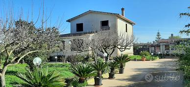 Terreno agricolo con rustico