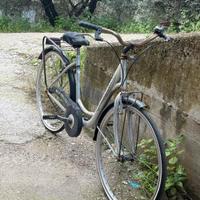 Bicicletta unisex da passeggio 