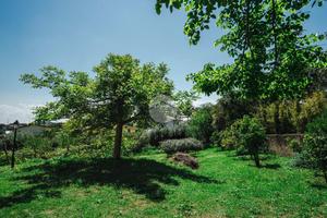 VILLA SINGOLA A ROMA