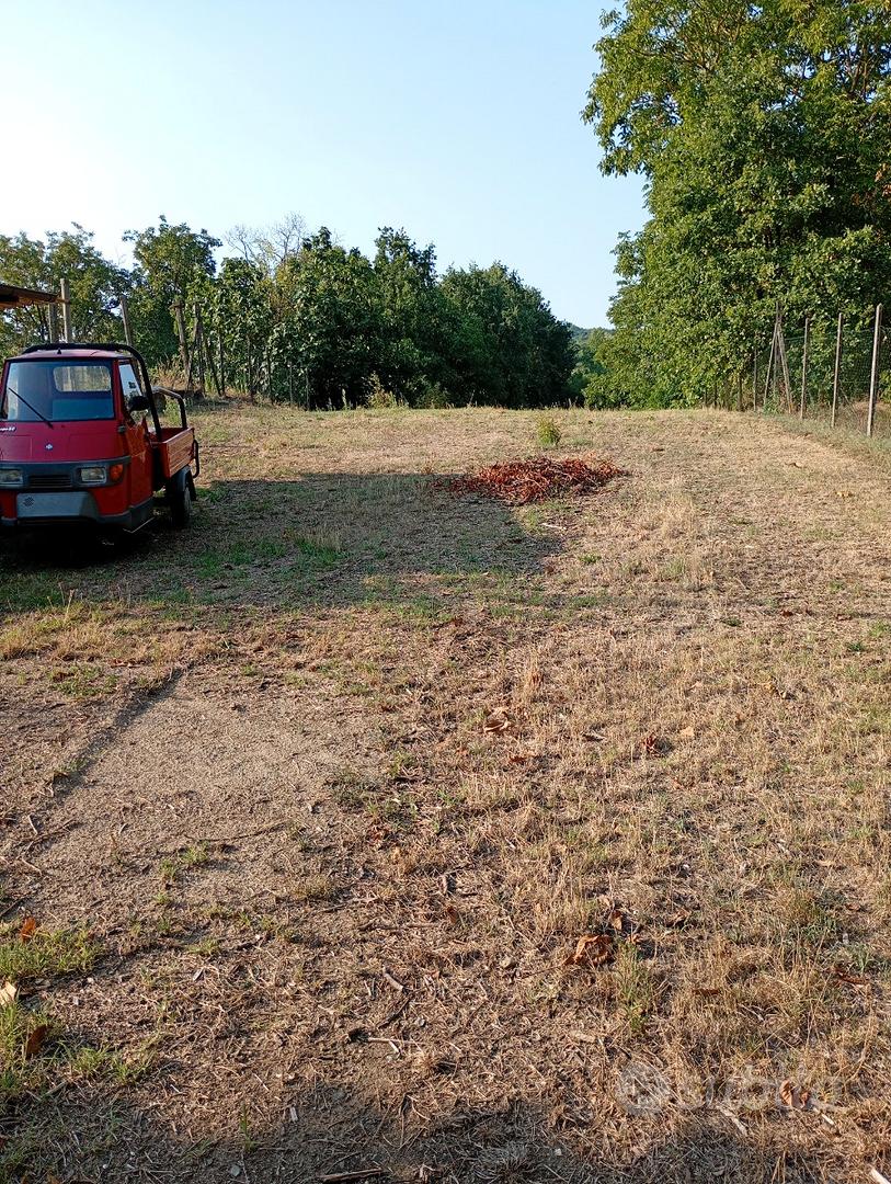 Terreno agricolo recintato - Vista 3