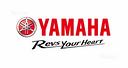 kit-catena-e-pignone-fz6-2004-2009-yamaha