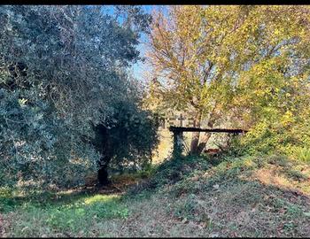 Terreno agricolo