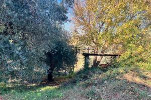 Terreno agricolo
