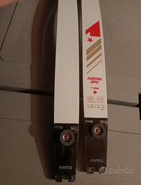 arco Hoyt Gold Medalist