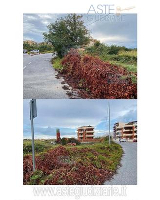 Terreno Agricolo Milazzo [A4317966]