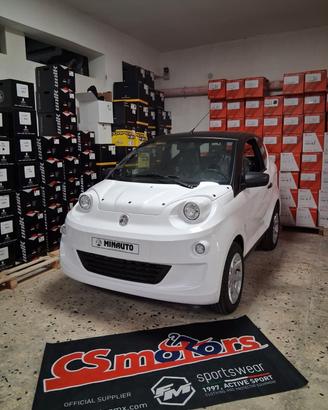 Aixam Miniauto Access