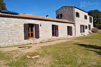 Casa Indipendente Tempio Pausania [1403312VRG]