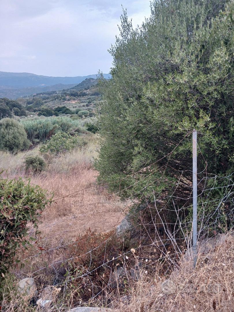 terreno - Vista 3