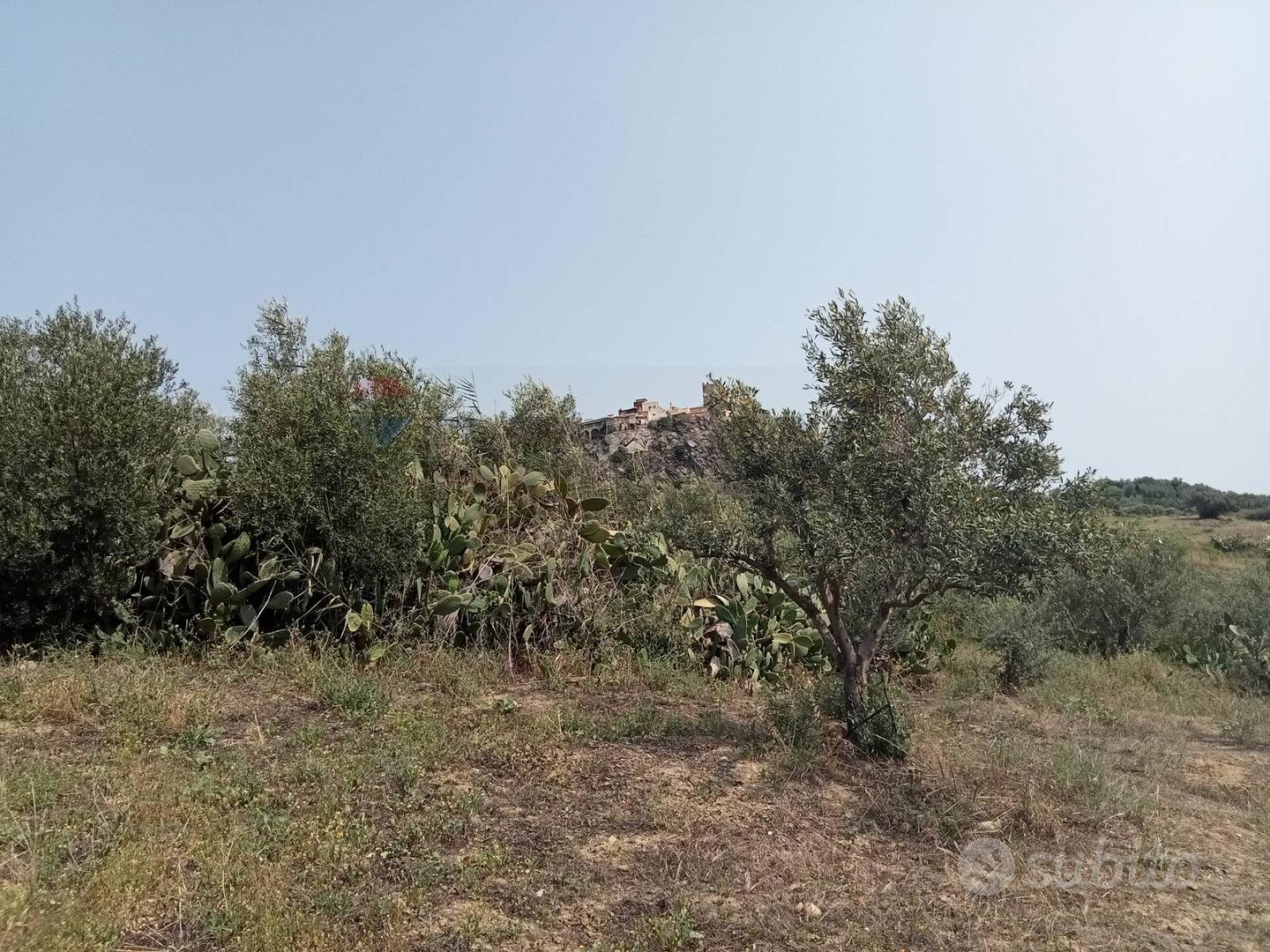Terreno - Motta Sant'Anastasia - Vista 2