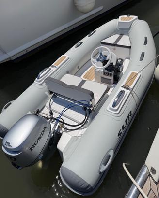 LUXURY TENDER SUR ST 290 CLASSIC 