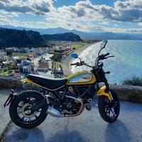 ducati scrambler icon 800cc 