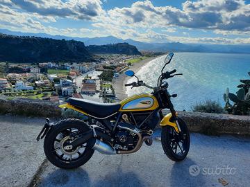 ducati scrambler icon 800cc 