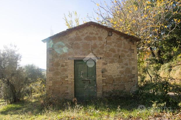 TER. AGRICOLO A TORRI IN SABINA