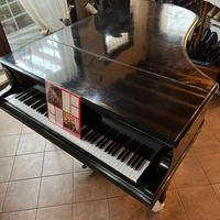 pianoforte  Bluthner 