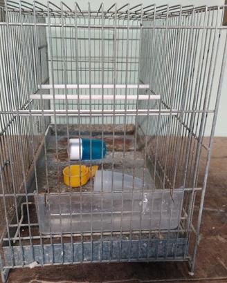 Gabbie per uccellini 