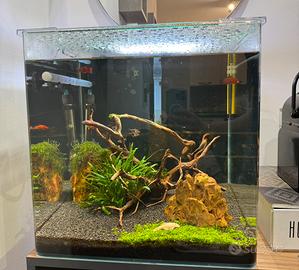 Acquario completo 90 litri