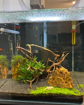 Acquario completo 90 litri