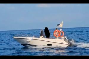 Open Mimi 40cv Yamaha 4 tempi