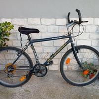 Bici Bottecchia 883
