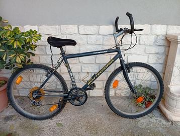 Bici Bottecchia 883