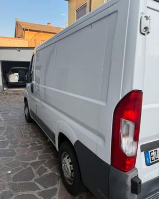 Furgone Frigo