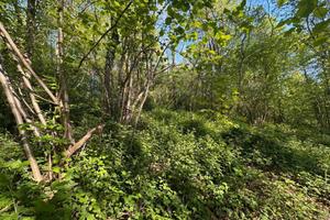 Terreno di 3310 m² a Galbiate