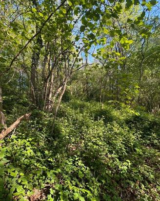 Terreno di 3310 m² a Galbiate