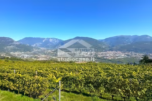 Terreno di 7070 m² a Isera