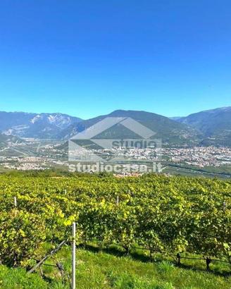 Terreno di 7070 m² a Isera