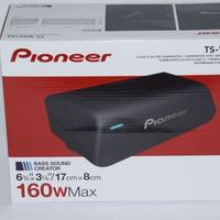 Sub Woofer Pioneer ts-wx010