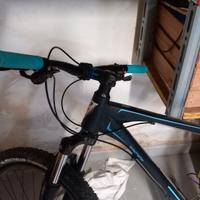 daytona mtb 