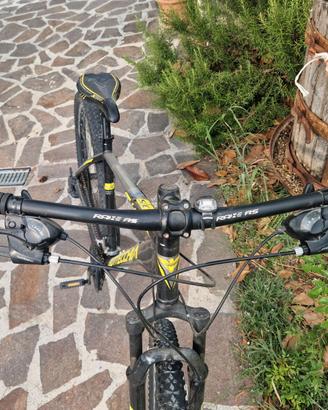 MTB bottecchia