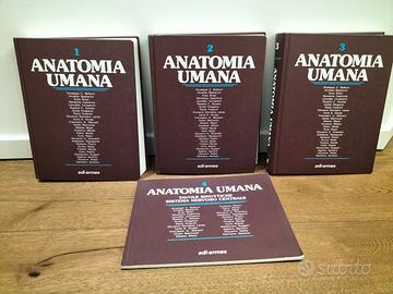 Libro Anatomia Umana in tre volumi