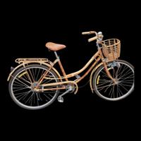 Bici Vintage in Bambù 