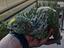Immagine 4