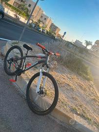St120 Wheelie Bike 